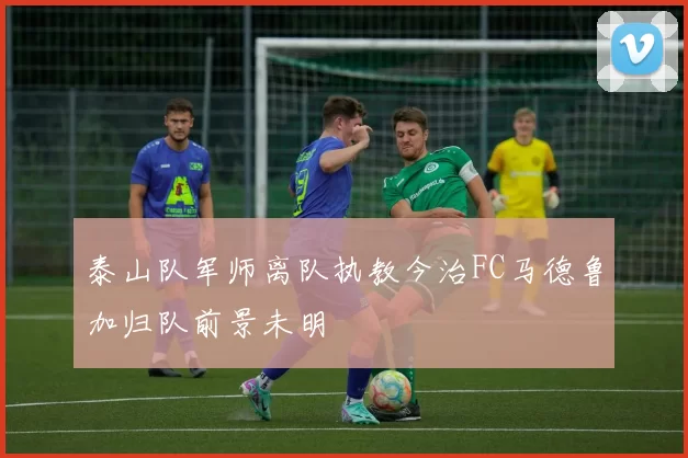 泰山队军师离队执教今治FC马德鲁加归队前景未明