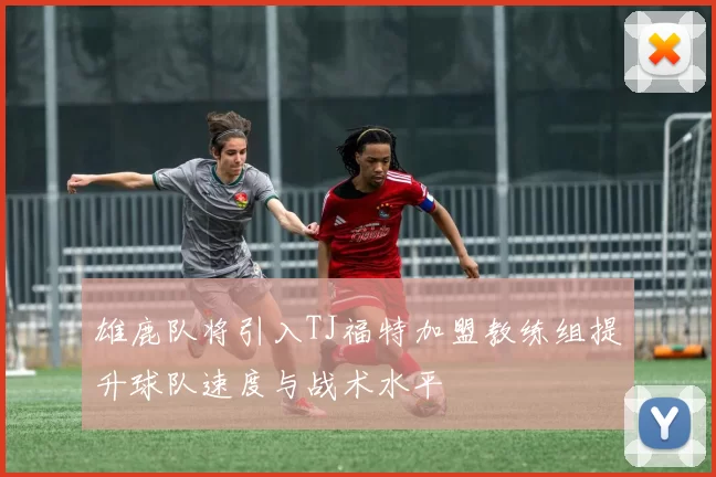 雄鹿队将引入TJ福特加盟教练组提升球队速度与战术水平