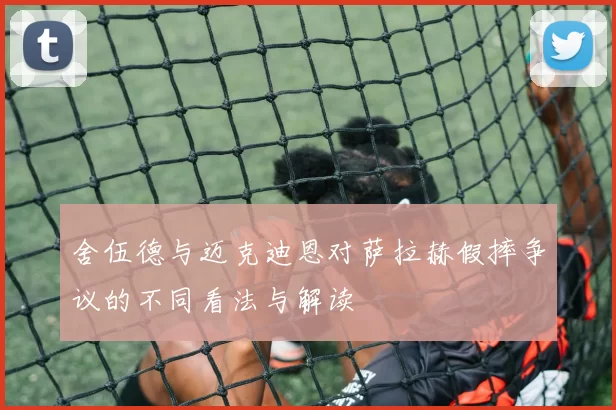 舍伍德与迈克迪恩对萨拉赫假摔争议的不同看法与解读